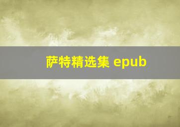 萨特精选集 epub